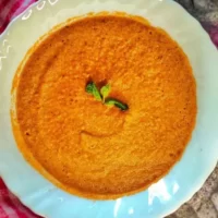 tomato mint chutney featured image