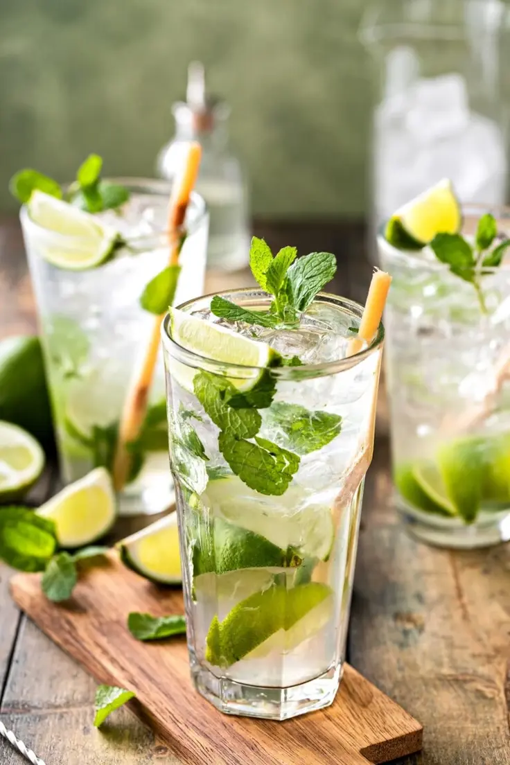 3. Classic Mojito by The Novice Chef Blog (Best Summer Cocktail Recipes)
