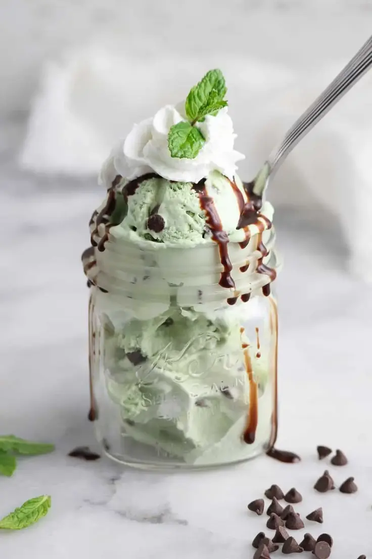Vegan Mint Choco Chip Ice Cream Recipe by Vegan Blueberry
