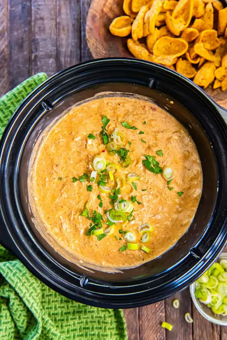 Slow Cooker Chicken Enchilada Dip Recipe by From Valerie’s Kitchen