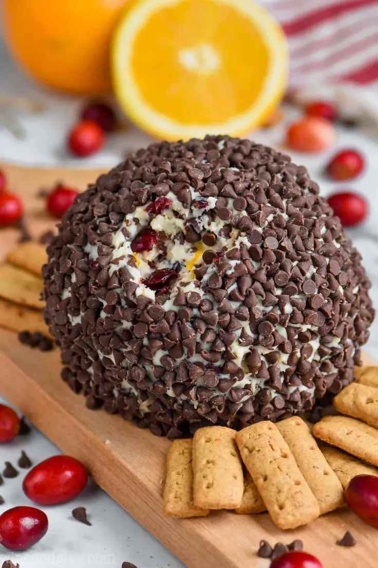 Cranberry Orange Chocolate Chip Cheese Ball Recipe by Simple Joy